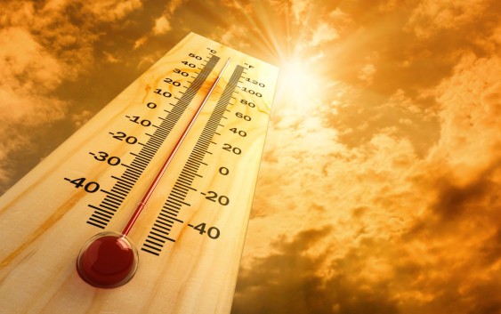 Les règles à respecter quand il fait chaud Les règles à respecter quand il fait chaud